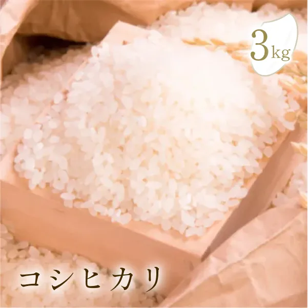 コシヒカリ　HashiyadaFarm　（JAS認定）　令和4年産】　3kg　精米　有機栽培米　–