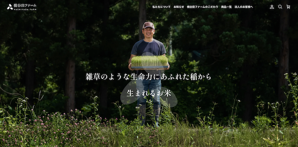 令和6年産、新米予約開始のお知らせ – HashiyadaFarm