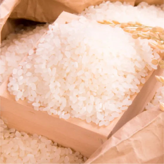 令和5年産】 有機栽培米 コシヒカリ 精米 5kg （JAS認定） – HashiyadaFarm
