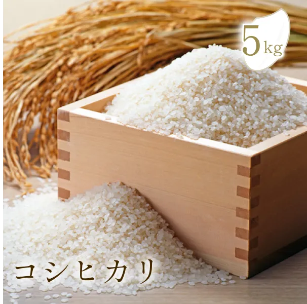 減農薬・有機肥料栽培 コシヒカリ – HashiyadaFarm